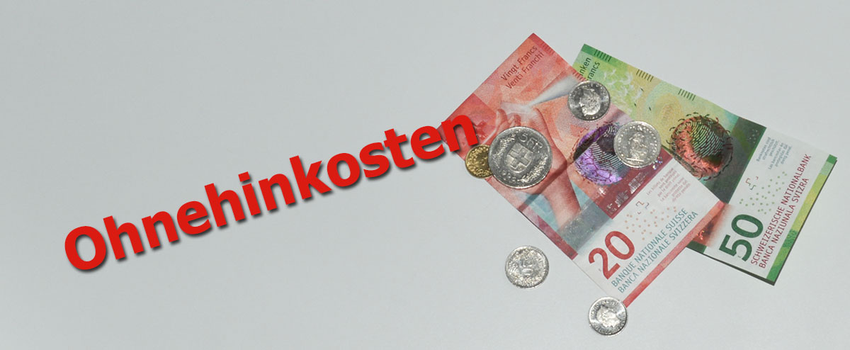 Ohnehinkosten